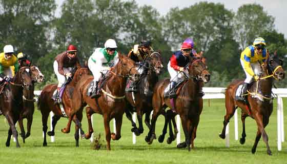 Online Horse Racing Action